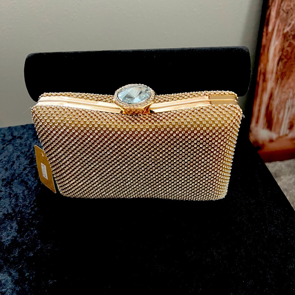 Sparkly Clutch ✨✨✨